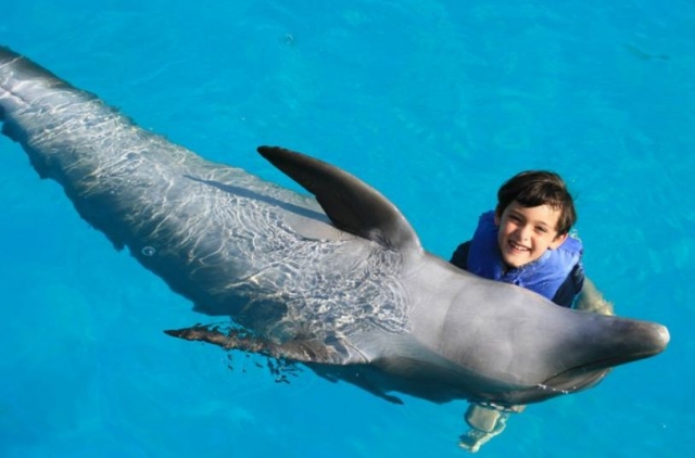 Nadando con delfin